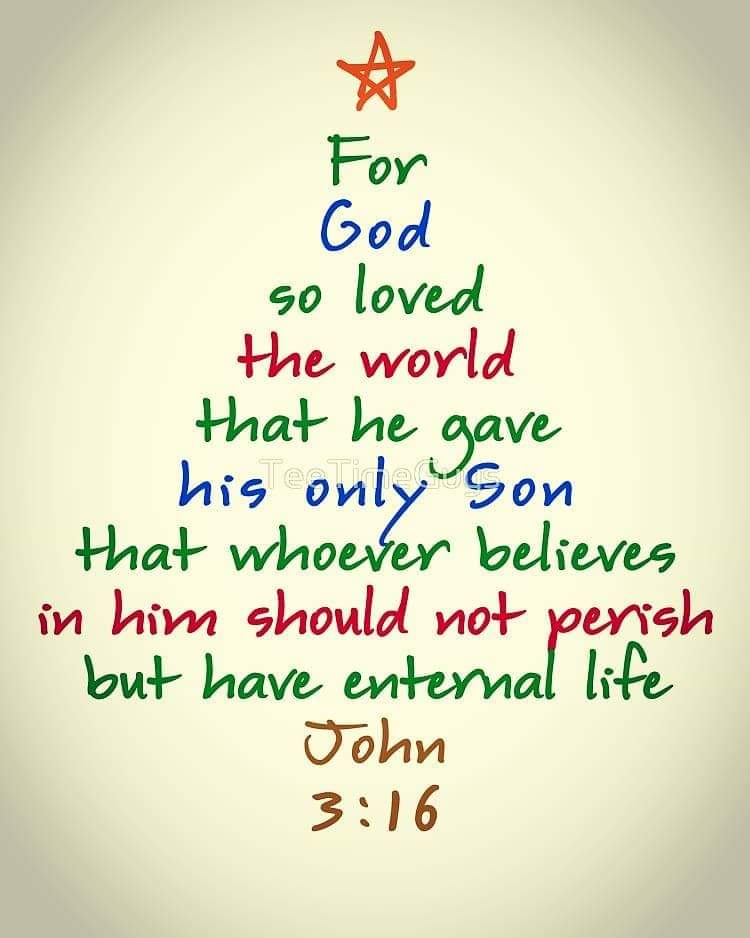 john 316