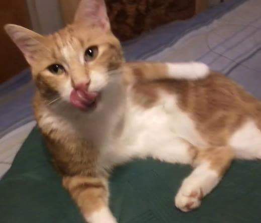 13627111_10206701394078678_2080687104626012432_n